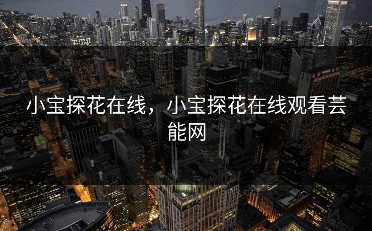 小宝探花在线，小宝探花在线观看芸能网