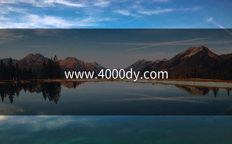www.4000dy.com