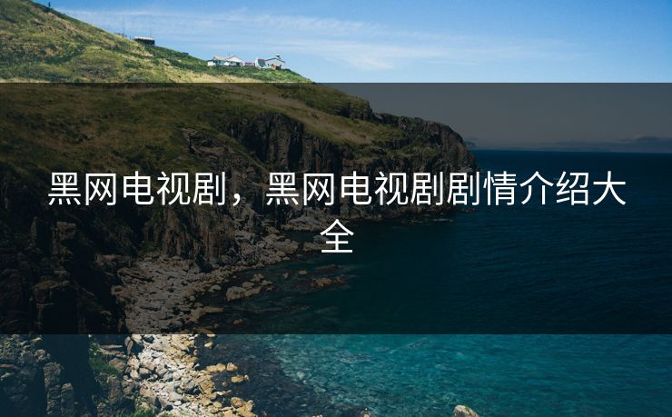 黑网电视剧，黑网电视剧剧情介绍大全