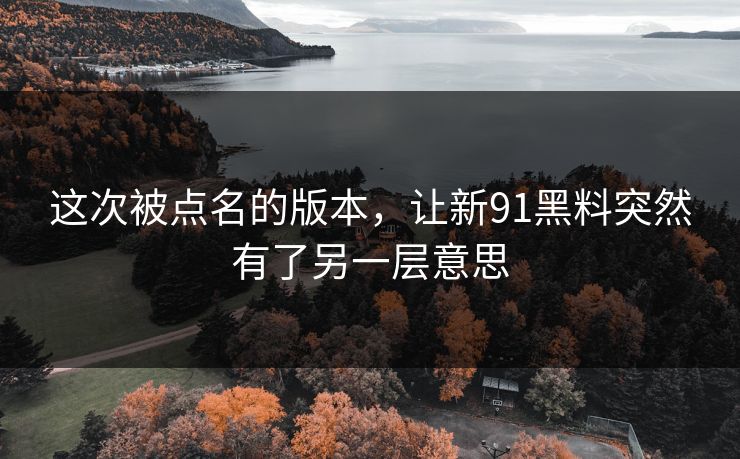 这次被点名的版本，让新91黑料突然有了另一层意思
