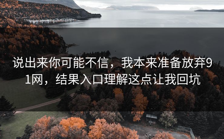 说出来你可能不信,我本来准备放弃91网,结果入口理解这点让我回坑 说出来你可能不信,我本来准备放弃91网,结果入口理解这点让我回坑